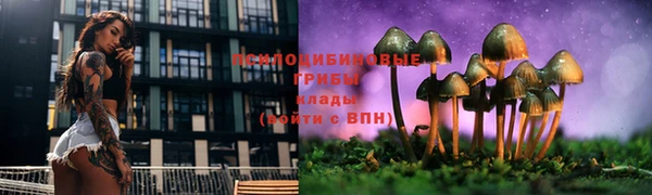 спайс Беломорск