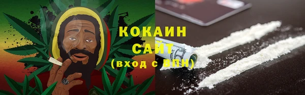индика Белоозёрский