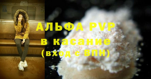 индика Белоозёрский