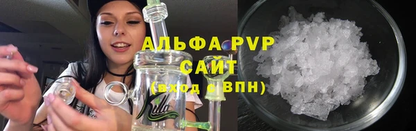 индика Белоозёрский