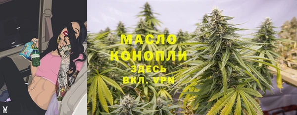 индика Белоозёрский