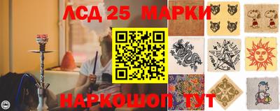 спиды Гатчина