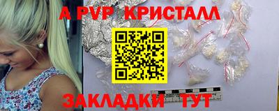 спиды Гатчина