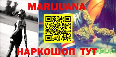 спиды Гатчина