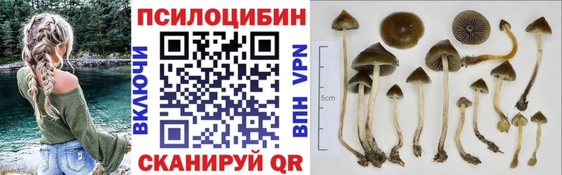 купить наркотики цена  Кстово  Псилоцибиновые грибы прущие грибы 