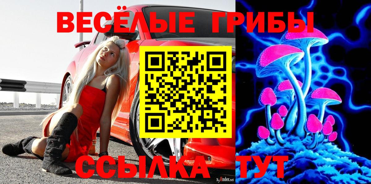 Галлюциногенные грибы GOLDEN TEACHER  Вход с VPN  Галлюциногенные грибы прущие грибы  Кстово 