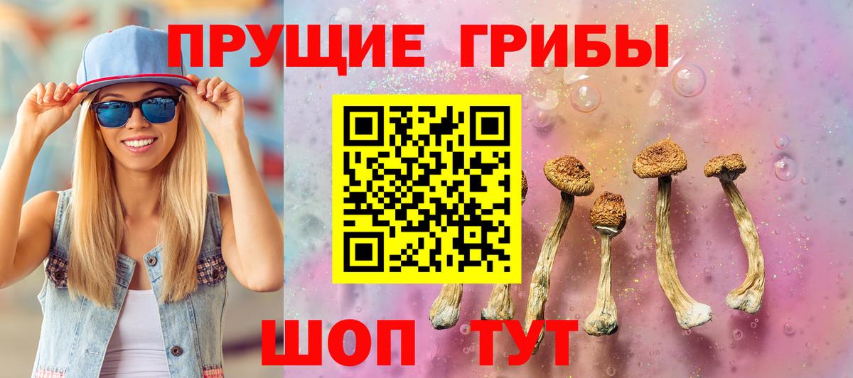 Галлюциногенные грибы Cubensis Кстово